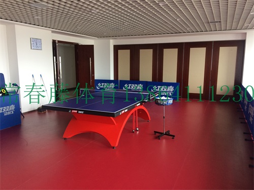 农业银行山东省某分行乒乓球室实景